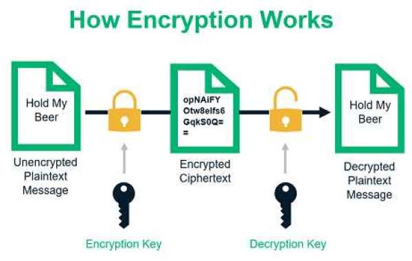 US Data Encryption Market Solutions, Services, Opportunities and Challenges Till 2030
