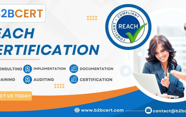 The Path to REACH Certification