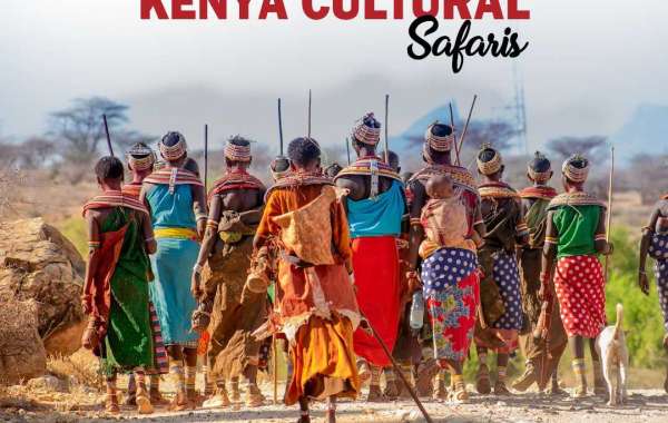 Kenya Cultural Safaris Tour: A Luxurious Adventure with Trek Afrika
