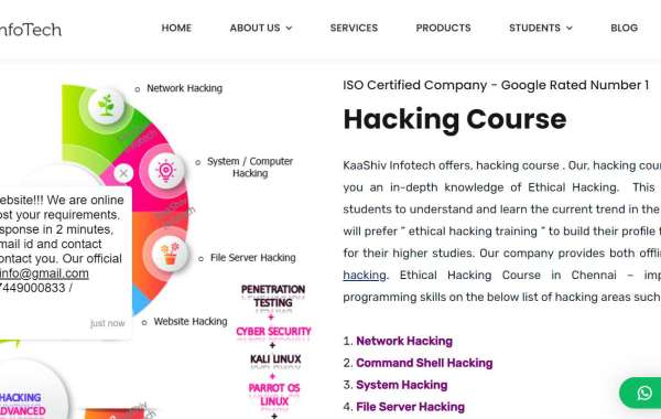 hacking course