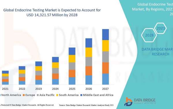 Endocrine Testing Market Size Report- Industry Growth Analysis