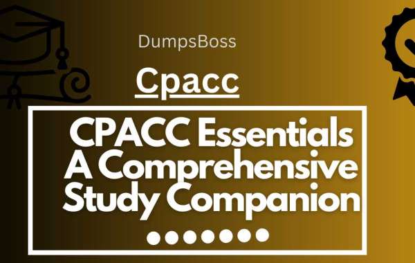CPACC Explorer's Handbook Essential Tools for Certification Success