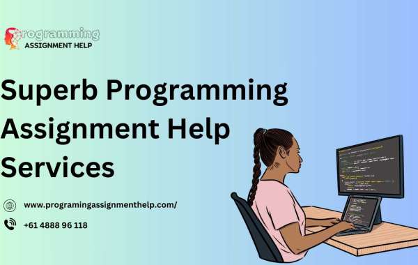 Superb Programming Assignment Help Services