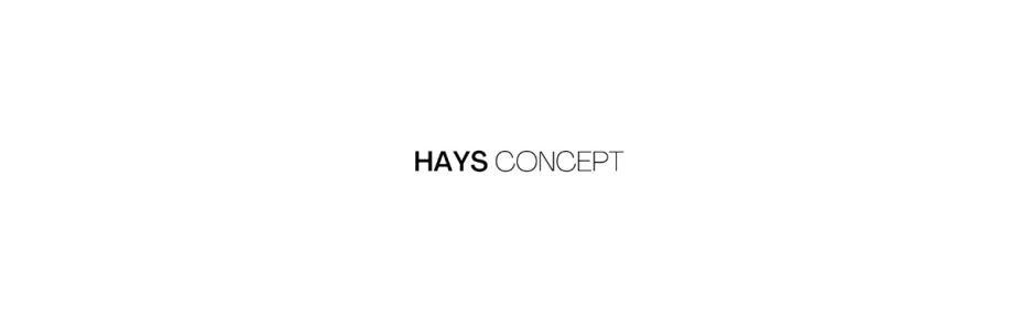 Haysconcept Cover Image