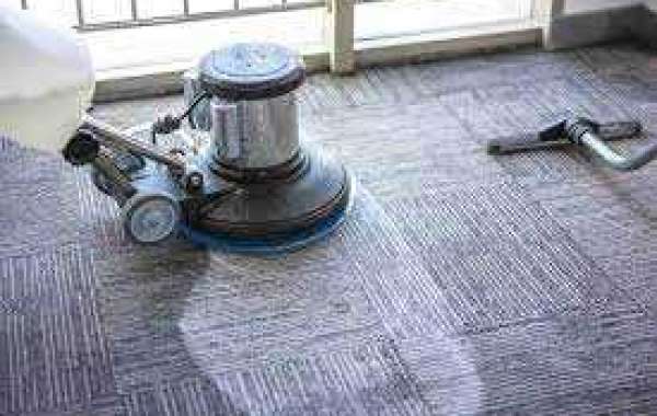Extend and Enhance: The Power of Professional Carpet Cleaning