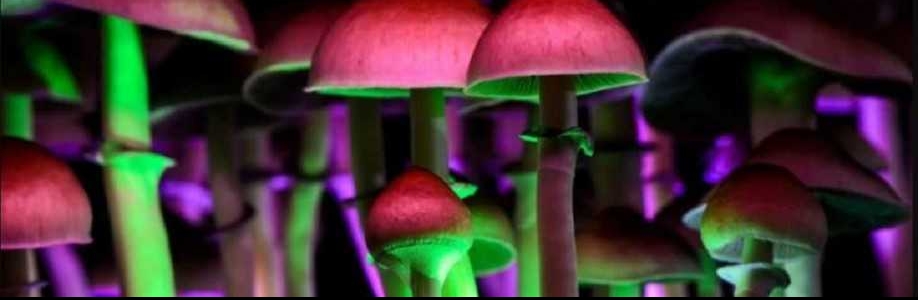 Magic Mushrooms Canada Cover Image