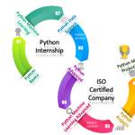 python internship Profile Picture