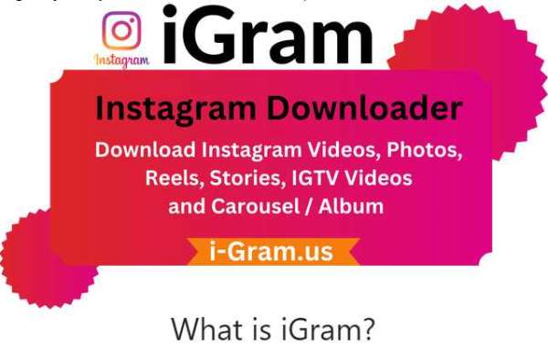 i Gram - Download Instagram Videos, Photos, Reels, & Story