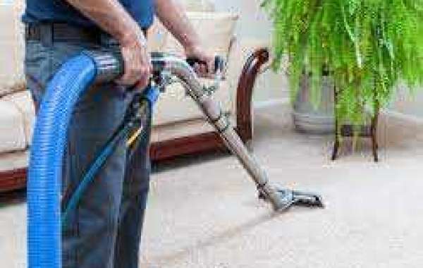 A Fresh Start: Unlocking the Benefits of Routine Carpet Cleaning