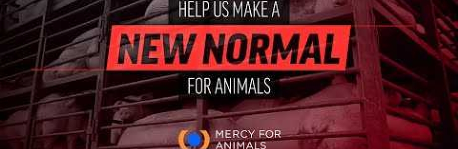 Mercy For Animals India Cover Image