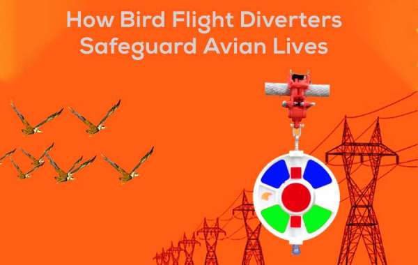 Protecting India's Birds: The Role of Bird Flight Diverters