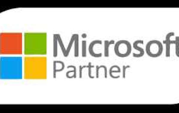 Microsoft ERP Partners: A Comprehensive Guide to Unlocking Your Business Potential