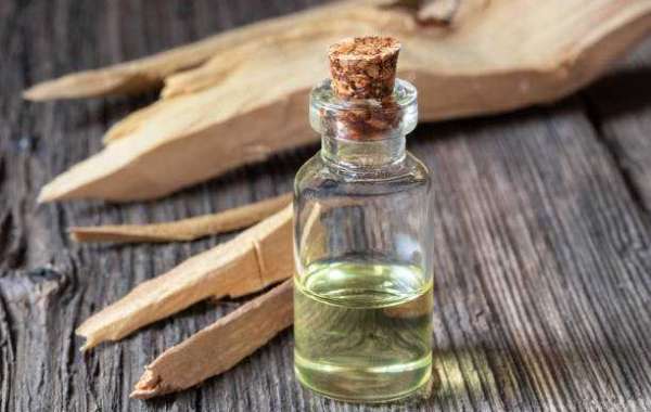 Canada Sandalwood Oil Market Size by Consumption Ratio of Key Players| Forecast 2032