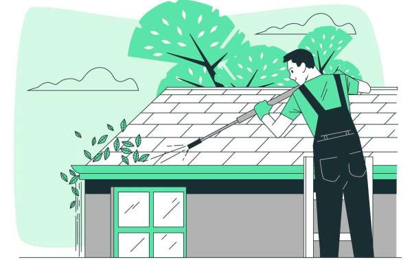 Roof Cleaning for Different Roofing Materials: Tailoring Your Approach