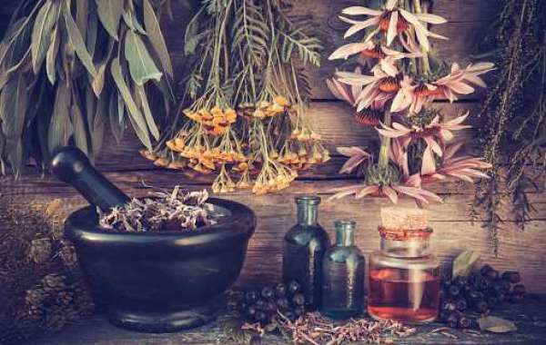 Canada Botanical Extracts Market Size by Competitor Analysis, Regional Portfolio, and Forecast 2030