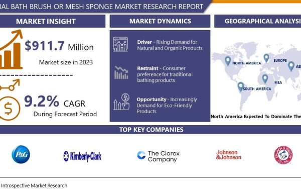 Bath Brush or Mesh Sponge Market: Forthcoming Trends and Share Analysis by 2030