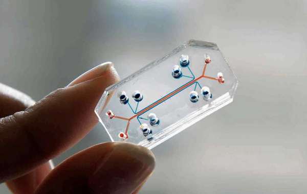 Organ-On-Chip Market is Anticipated to Register 37.8% CAGR through 2031