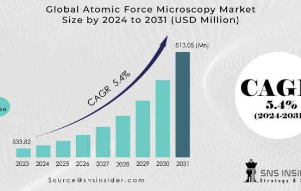 Atomic Force Microscopy Market Size: Segment Analysis