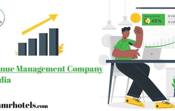 The Role of a Revenue Management Company in India