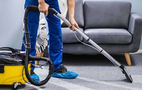 Create a Healthier Home Environment with Professional Carpet Cleaning