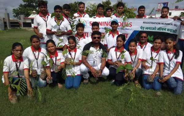 Shining Souls Trust: Leading the Green Revolution as the top NGO in India