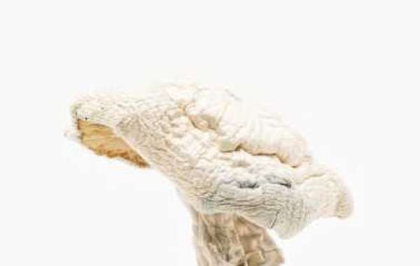 Avery Albino Mushroom