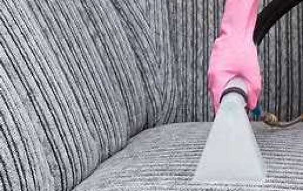 Elevate Your Home’s Aesthetic Appeal with Professional Carpet Cleaning