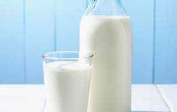 Milk Processing Plant Project Report 2024: Raw Materials, Investment Opportunities, Cost and Revenue