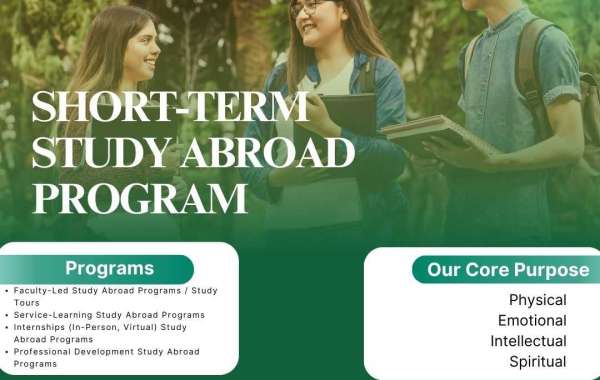 Top Study Abroad Programs for Language Immersion