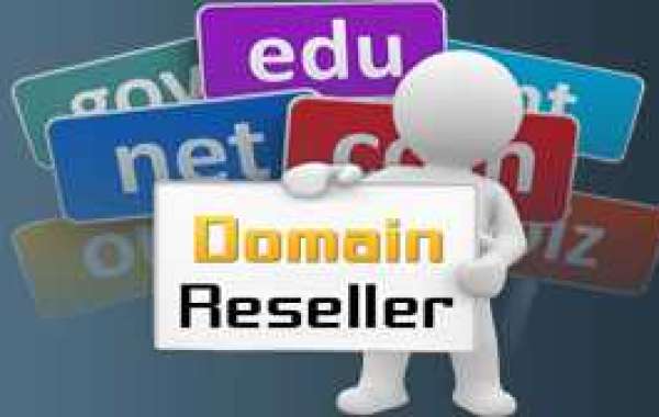 Best Cheap Domain Resellers Pakistan