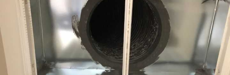 Honest Guys Duct Cleaning Cover Image