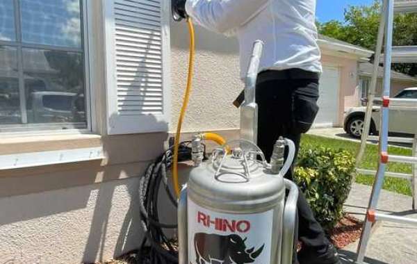 Pest Control in Miami, FL: Expert Solutions by V Pest Control