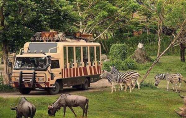 Dubai Safari Park: A Wildlife Haven in the Desert