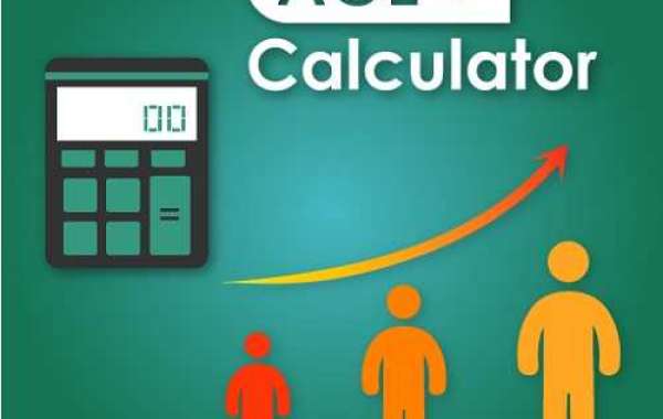 Calculate Age Online