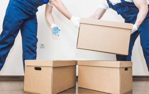 Why Professional Furniture Removalists in Newcastle Are the Key to a Hassle-Free Move