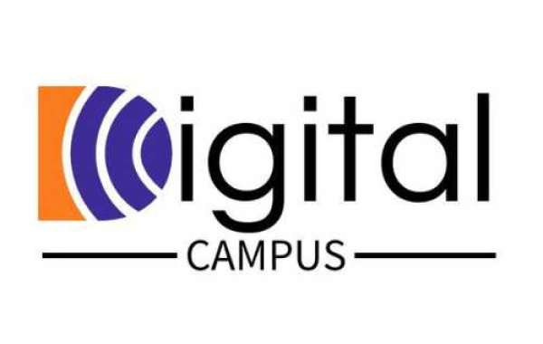 Best Digital Marketing institute In Noida