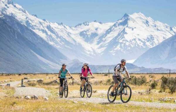 Best Bike Tour Booking Software of 2024