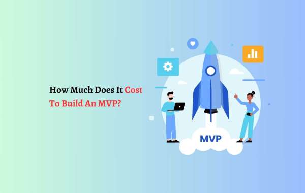 How Much Does It Cost To Build An MVP?