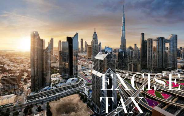 Excise Tax Return in the UAE