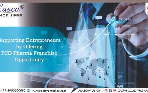 Supporting Entrepreneurs by Offering PCD Pharma Franchise Opportunity