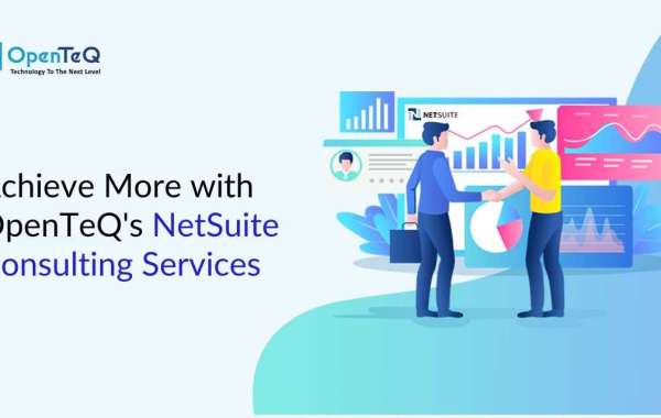 Achieve More with OpenTeQ's NetSuite Consulting Services