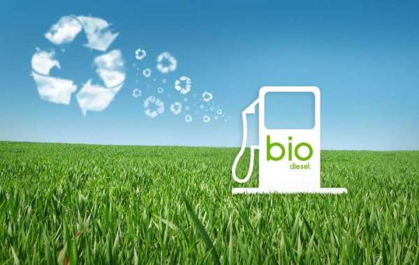 Biodiesel Market Trends, Challenges and Future Outlook | US$116.05 Billion