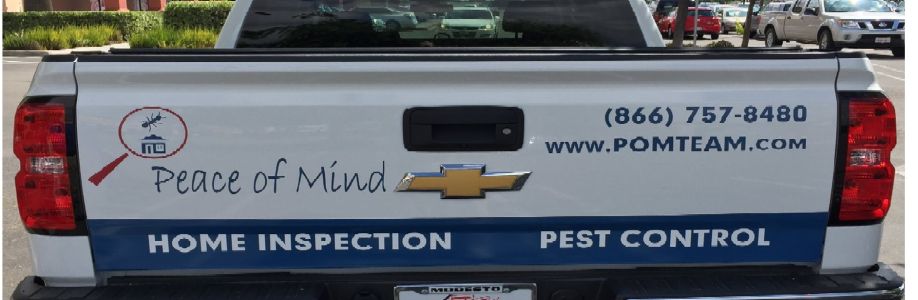 Peace of Mind Pest Control Cover Image