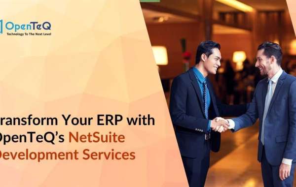 Transform Your ERP with OpenTeQ’s NetSuite Development Services