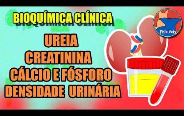 Como Exames de Laboratório Transformam o Cuidado com seu Pet