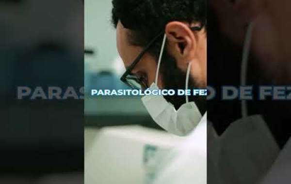 Exames Cardiológicos Essenciais para a Saúde do Seu Melhor Amigo de Quatro Patas