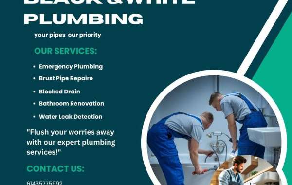 Gold Coast Plumbing Experts: Your Trusted Local Plumbers