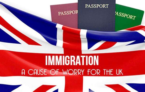 Tours Or Transfers? Meet the best UK immigration Solicitors