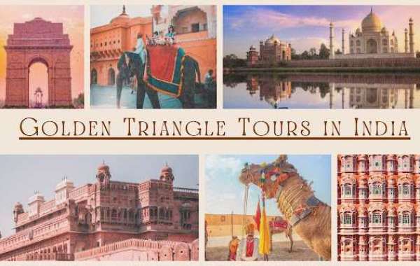 Book Best Tour Package with Top Trip Planner in India