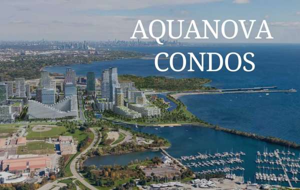 Exploring the Neighborhood Around aquanova condos